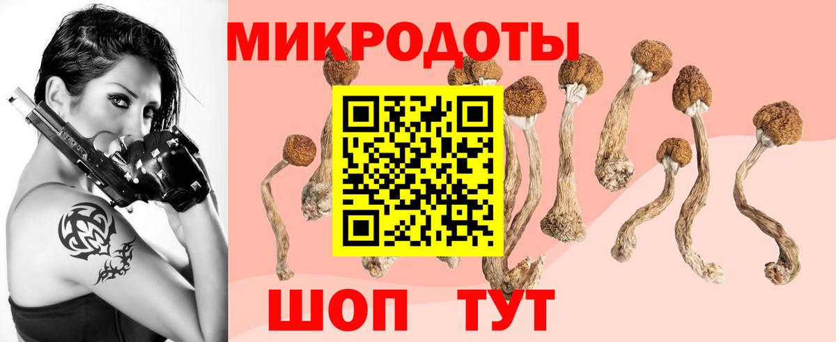 Псилоцибиновые грибы Psilocybe  Вход с VPN  Чернушка  Псилоцибиновые грибы мицелий 